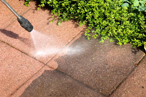 Best Pressure Washing Near Me  in Manchester, IA